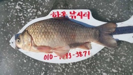 유료터정보 > 유료터조행기 > 항포낚시터 오늘 조황~~