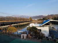 유료터정보 > 유료터조행기 > 오산나그네의 양주삼하낚시터조행기