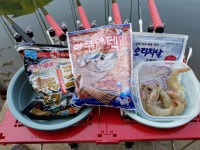 유료터정보 > 유료터조행기 > 오산나그네의 음성 봉낚시터 조행기