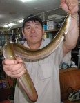 조황조행기 > 특파원조황 > [충주호] 우중에 올린 1kg의 대물장어...