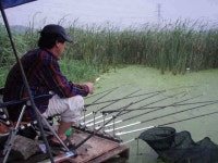 조황조행기 > 특파원조황 > 정당리 제방각지. 오지소류지. 팔봉수로 조황