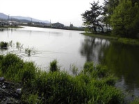 조황조행기 > 특파원조황 > [자인권 조황] 삼천지 4짜와 주울지 준척손맛