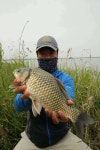 조황조행기 > 특파원조황 > 천수만[부남호]5월19일 44.5cm외 대박조황