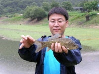 조황조행기 > 특파원조황 > [장찬지] 신선골 정출과 월척 조황 (1)