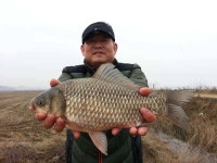 조황조행기 > 특파원조황 > 천수만[부남호]3월26일 41cm외 마릿수 대박조황