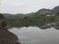 조황조행기 > 특파원조황 > 7월첫째주 조황입니다