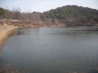 조황조행기 > 특파원조황 > 월척 소식을전합니다