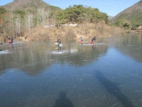 조황조행기 > 특파원조황 > 빙어낚시 시작