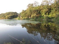 조황조행기 > 특파원조황 > 7월3째주 조황입니다