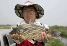 조황조행기 > 특파원조황 > 천수만[부남호]6월10일 42.5cm외 마릿수조황