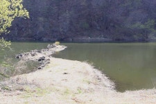 조황조행기 > 특파원조황 > 도화 그늘 아래 노니는 붕어를 찾아.....