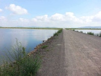 조황조행기 > 특파원조황 > 천수만[부남호]9월6일 41cm외 대물마릿수조황