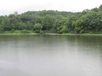 조황조행기 > 특파원조황 > 8월 3째주조황입니다