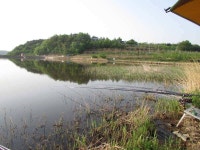 조황조행기 > 특파원조황 > 5월 첫주 조황입니다