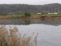 조황조행기 > 특파원조황 > 기록의계절11월첫주조황입니다