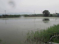 조황조행기 > 특파원조황 > 또다시4짜 7월3째주조황