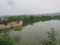 조황조행기 > 특파원조황 > 또다시4짜 7월3째주조황