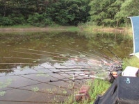 조황조행기 > 특파원조황 > 6월4째주 조황입니다