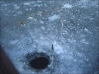 조황조행기 > 특파원조황 > 용성 송림지에 이어 용성지까지 결빙.