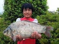 조황조행기 > 특파원조황 > 천수만[부남호] 5월30일 42.5cm붕어와 덩어리 조황