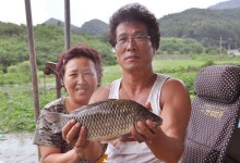 조황조행기 > 특파원조황 > 하천리의 대물붕어, 오산리의 장어소식...