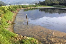 조황조행기 > 특파원조황 > 효심 가득한 나크리를 기대하며.