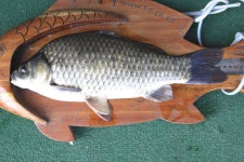 조황조행기 > 특파원조황 > 더위의 끝에서 바라본 가을