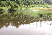 조황조행기 > 특파원조황 > 밤낚시의 계절이 돌아 ~ 왔습니다.!!