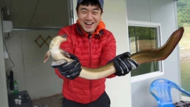 조황조행기 > 특파원조황 > 목벌낚시터 악천후속에 대물붕어, 대물장어 소식...