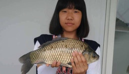 조황조행기 > 특파원조황 > 하천리 44cm 대물붕어, 목벌리 4짜 대물붕어 키로급장어 소식 ...