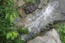 조황조행기 > 특파원조황 > 청도권 비소식과 오름수위