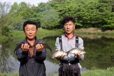 조황조행기 > 특파원조황 > 붕어여왕을 만날 계절의 여왕 5월