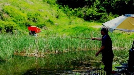 조황조행기 > 특파원조황 > 경산권 소식 입니다.