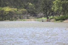 조황조행기 > 특파원조황 > 봄나들이 하기에 멋진 주말 입니다.