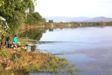 조황조행기 > 특파원조황 > 시월 마지막주 조황 안내