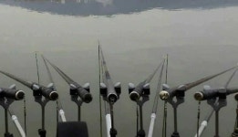 조황조행기 > 특파원조황 > [평택호] 병상에서 올리는 조황 조행기