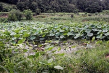 조황조행기 > 특파원조황 > DaeGu 2011 D-2 조황조행기 > 특파원조황 > DaeGu 2011  D-2