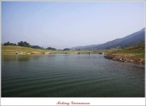 조황조행기 > 특파원조황 > 대류 한버들 43.5 cm..39 cm..38 cm..돌감..병호 조황..