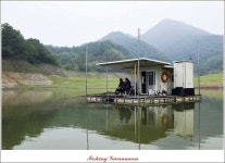 조황조행기 > 특파원조황 > 대류 한버들 45 cm ,41 cm ,39 cm 대물 조황..