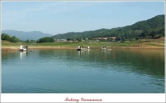 조황조행기 > 특파원조황 > 추평지 52 cm 대물..한버들 월척..화곡지 사짜..칠성지 대박..