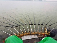 조황조행기 > 특파원조황 > 평택호 악천우 속에...!