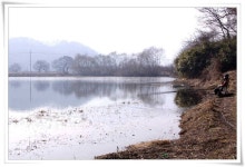 조황조행기 > 특파원조황 > 경산,대창권 저수지 현황