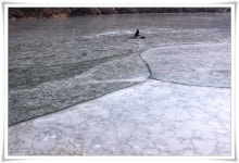 조황조행기 > 특파원조황 > 경산 빙어조황과 저수지 얼음상태