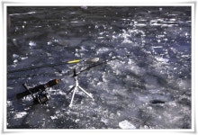 조황조행기 > 특파원조황 > 경산 빙어조황과 저수지 얼음상태