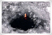 조황조행기 > 특파원조황 > 경산 빙어조황과 저수지 얼음상태