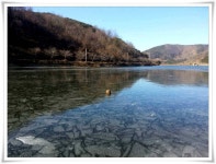 조황조행기 > 특파원조황 > 경산권 빙어및 붕어 얼음낚시 현황