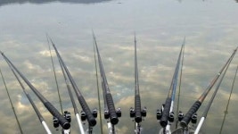 조황조행기 > 특파원조황 > [평택호] 병상에서 올리는 조황 조행기