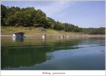 조황조행기 > 특파원조황 > 한버들 43 cm..43 cm..40 cm..신매 낚시터 39 cm..늘푸른 장어..화곡지 조황..