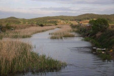 조황조행기 > 특파원조황 > 천수만[부남호]4월29일 42cm외 대물조황