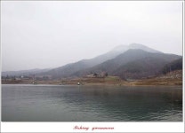 조황조행기 > 특파원조황 > 한버들 사짜 및 월척 조황..